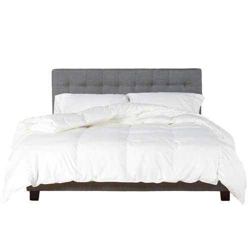 Lark Manor All Season Canadian Premium Weight Goose Down Comforter